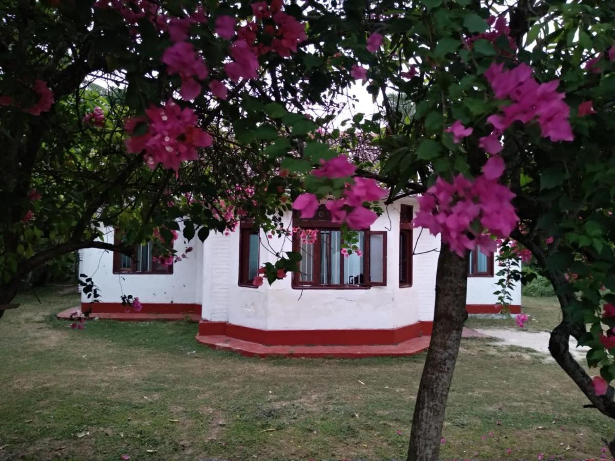 Colonial Surfing Villa Hostel & Home Stay Мідіґама-Іст Екстер'єр фото